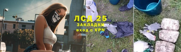 прущие грибы Аркадак