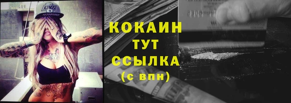 прущие грибы Аркадак