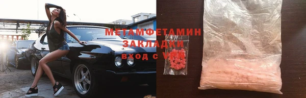 прущие грибы Аркадак