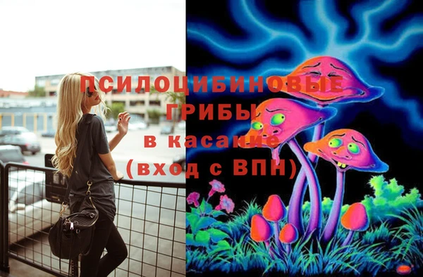 прущие грибы Аркадак
