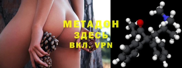 прущие грибы Аркадак