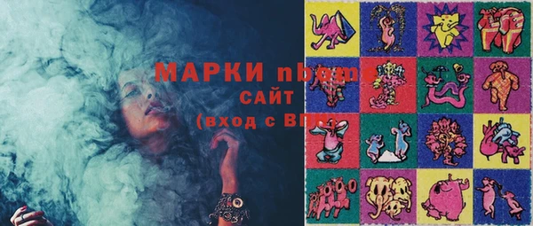 прущие грибы Аркадак