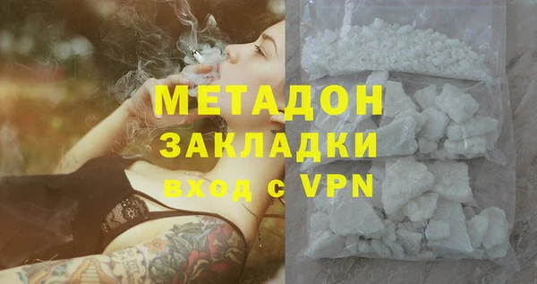 прущие грибы Аркадак