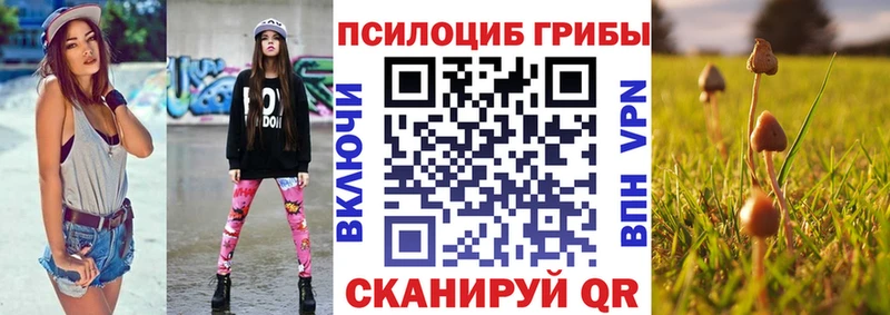 как найти   Кологрив  Псилоцибиновые грибы Cubensis 