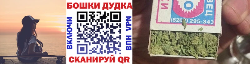 Конопля семена  Кологрив 